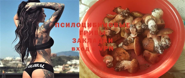 ALPHA PVP Медвежьегорск