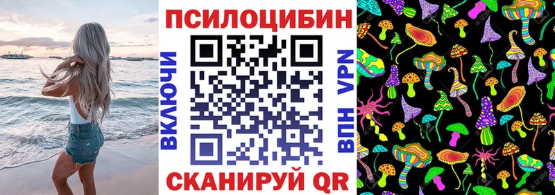 Псилоцибиновые грибы Psilocybine cubensis  Городище 